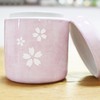 Remains in Cremation Urn 分骨 Sakura Pink 2.3 Equal Cherry Hand