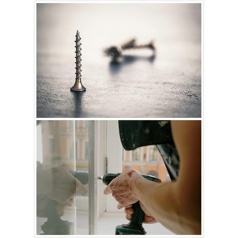 TAORAYO Self Tapping Screws, Wood Screws, Truss Head Tapping Screws,