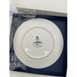 Royal Worcester Free Ship - Royal Worcester 2000 To Celebrate The Millennium Plate 8 Wide (363A)