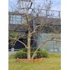 HTWNK Bamboo 2 Pack Short Fence Outdoor Landscape Edging Flexible