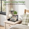 LASZOLA Plant Stand Indoor Tabletop Small for Desk, 3 Tier