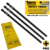 3 x SabreCut AFSC152PH2_3 152mm PH2 for Festool AF 55-DWP/DWC