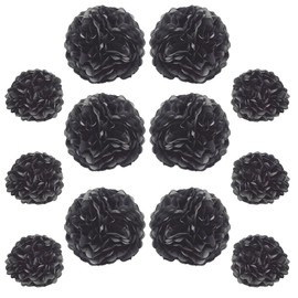 Ruidee 12 Pieces Tissue Paper Pompoms 10in and 12in Hanging Tissue Flowers Decorations Colour Paper Flower Ball Paper Flowers Pom Poms for Party Wedding Decoration (ZH/Black)
