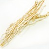 국내산 제천 황기 통황기 200g 삼계탕 백숙 오리탕 등에 넣어드세요 Domestic Jecheon Astragalus Whole 200g, use in Samgyetang, Baeksuk, Duck Soup, etc.