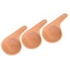 Tougei Rattan Coffee Measure Spoon 0.2 oz (5 g) Set