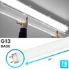 LUXRITE F17T8/841 17W 24 Inch T8 Fluorescent Tube Light Bulb,