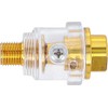 Mini Oiler, 1/4' BSP