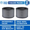 Fette Filter - 2 Premium True Hepa H13 Replacement Filter