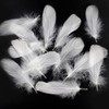 Feather Shower Feathers, Plenty of 120 Pieces, Decorative Feathers, Wedding, Birthday, Party, Craft Material, DIY Decoration Accessories (White)