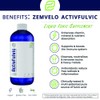 ActivFulvic - Fulvic Acid Liquid Supplement | 32-Day Supply |