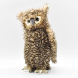 Owl No. 4466 