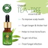 Old Tree Tea Tree Essential Oil for Skin, Hair and