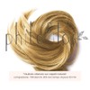 PHITOFILOS - Light Blonde Ramat - EX Hen No. 1