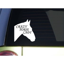 EZ-STIK Crazy Horse Lady *J025* 6" Horse Sticker Decal