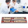Dental Synthetic Resin Denture Tooth Professional Men Women Shade A3