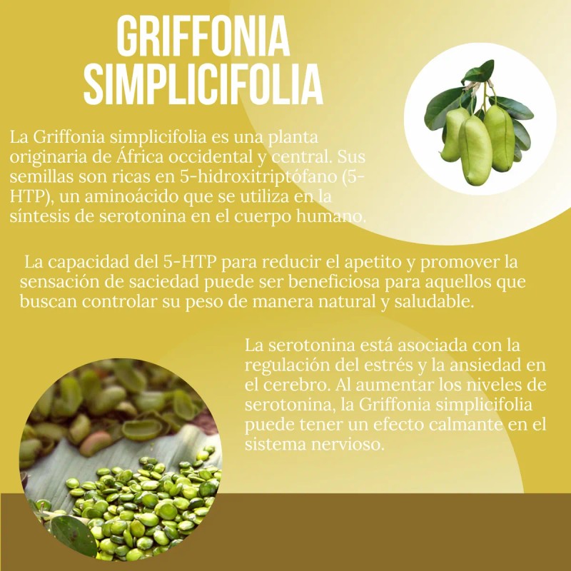 Suplemento Antiob Control De Sobre Peso Mesocaps 90 Cápsulas Sin