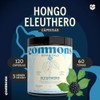 Commons Eleuthero - Adaptógenos - Suplemento Natural - Energía y