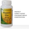 Slippery Elm: 400 Mg, 100 Capsules GI Coat Rachel's Tea