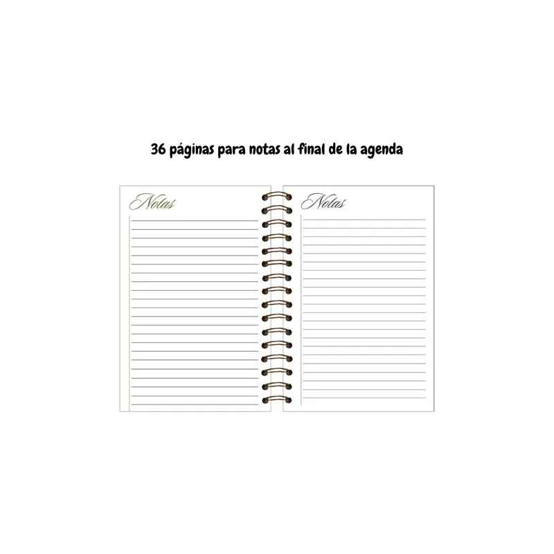 Agenda Escolar Diaria 2026 -2027 Personalizada Pasta Dura 39