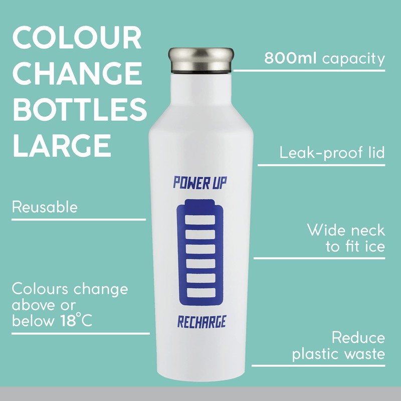 Typhoon Pure 800 ML Stainless Steel Colour Changing Bottle With