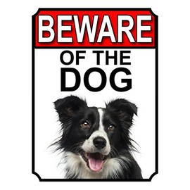SHAWPRINT BEWARE OF THE DOG METAL GATE SIGN BORDER COLLIE 200MM X 150MM (1114H1)