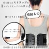 Pelvic Belt, Pelvic Posture Aid, Corset, Supporter, Unisex, Lumbar Support,