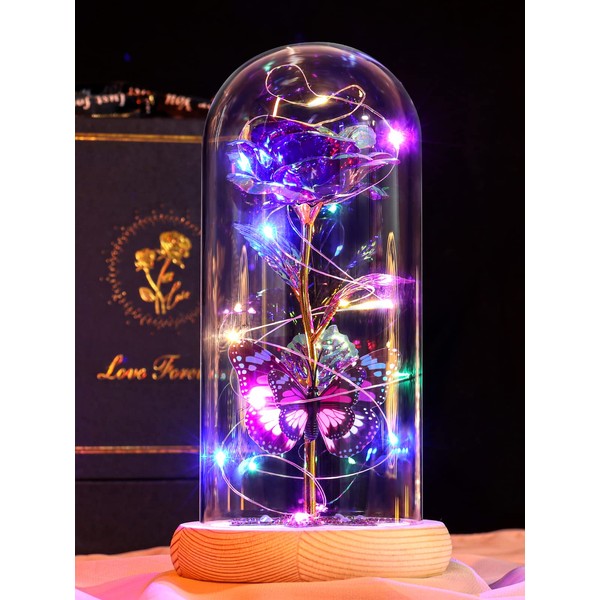 Beferr Glass Crystal Rose LED Flower Gifts, Forever Galaxy Rose in Glass Dome for Her Women Mum Wife Grandma Nan Girlfriend Daughter Sister Christmas Valentine's Day Mother's Day Birthday Anniversary
