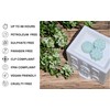 Blossoms & Spring Rain Highly Scented Soy Wax Melts