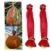 100 Pack Watermelon Nets,Hanging Watermelon Support Nets,Reusable Melon Hammocks Cradles