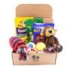 Fansco Dog Gift Box Set with Pet Toys Treats Snacks