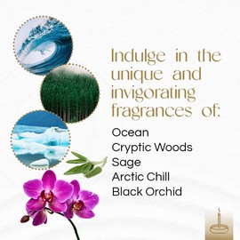 Gonesh - Extra Rich Scented Incense Sticks Variety Pack - Non-toxic 10” Slow Burn Aromatic Sticks - Ocean, Cryptic Woods, Sage, Arctic Chill, Black Orchid - 5 Packs of 20 Sticks