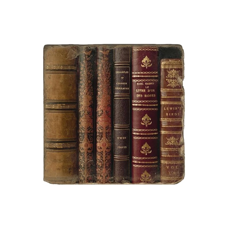 Studio Vertu, Set of 4, Leather Books Tumbled Botticino Marble