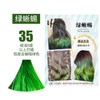 Lime twist / Iguana green / glass green / 绿蜥蜴绿