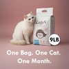 Lady N Cat Attract Tofu Litter – Natural Attractant Formula