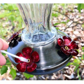 Hummingbird Feeder Cleaning Brush Set, Deluxe 7-Piece Set