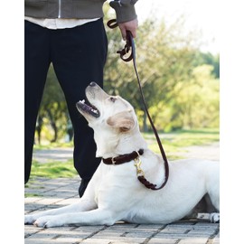 Joytale Leather Dog Leash, Genuine Cowhide with Brass Hook, Heavy Duty Leashes for Medium and Large Dogs, Brown, 6'×3/4''