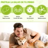 Tabletas De Cardo Mariano Para Perros Protección Hepática180