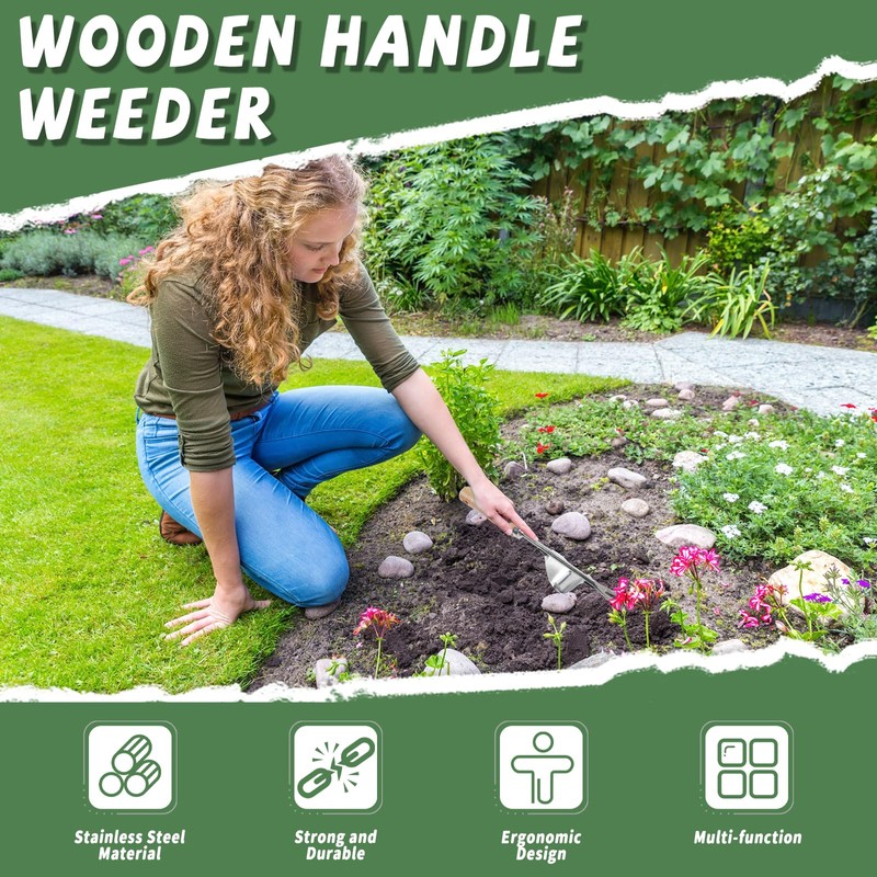 Shyllin Weeder Tool, Joint Scraper, Weed Remover, Root Weeder with