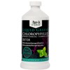 Liquid Greens Chlorophyll Activated Charcoal Mint 450ml - Balance pH,