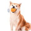 Voarge Palla for Dogs, Indistruttibiles, Interactive Toy for Medium Dogs,
