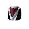 HISDERN Men's Burgundy Cravat Wedding Polka Dot Ascot Tie Classic