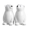 Bicuzat Ceramic Polar Bears Pattern Salt & Pepper Shakers Set,