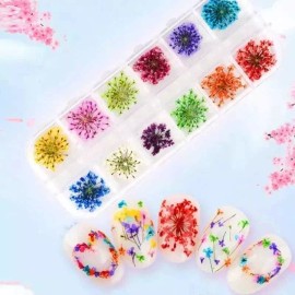 Wapizima Naturaleza Muerta Decoración Uñas Flores Hojas Secas Uñas