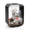 biOrb Life 15 Acrylic 4-Gallon Aquarium with White LED Lights