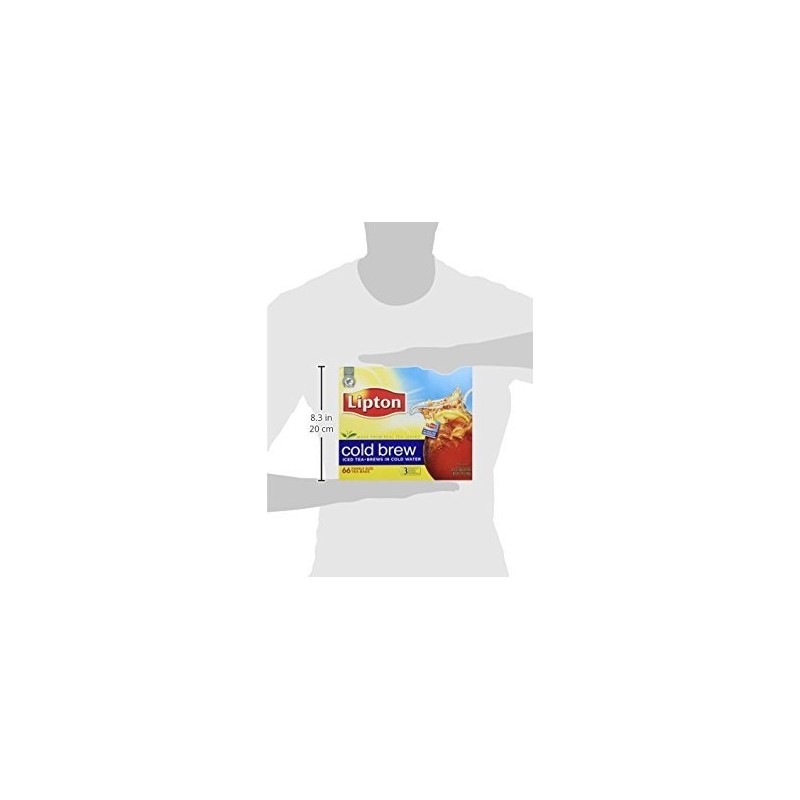 Lipton, Black Tea, Cold Brew, Family Size Tea Bags, 22-Count