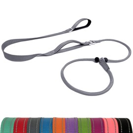 LWBMG Slip Lead Dog Leash with Double Handle,6 FT Heavy Duty Dog Training Leashes, No-Pull Reflective Nylon Slip Leash and Collar for Large Medium Small Dogs Grey