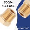 LTWFITTING Hex Plug Male Screw Size R (PT) 1/4 (Pack