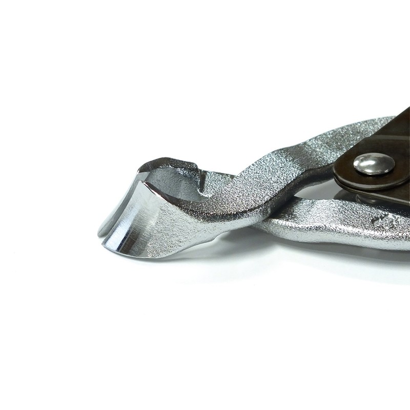 古沢 Edison with Fingernail Clippers