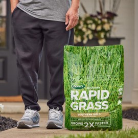 Scotts Turf Builder Rapid Grass Southern Gold Blend for Tall Fescue Lawns, Combination Seed and Fertilizer, 16 lbs.