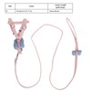 Pet Pig Vest Harness with Leash Set EscapeProof Walking Harness